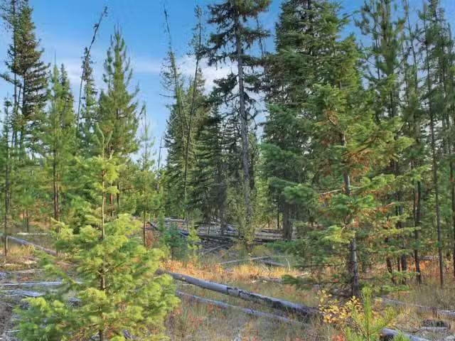 Lot for sale in Bridge Lake, 100 Mile House, PROP Lot 12 Brown.