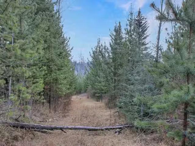 Lot for sale in Bridge Lake, 100 Mile House, PROP Lot 15 Brown.