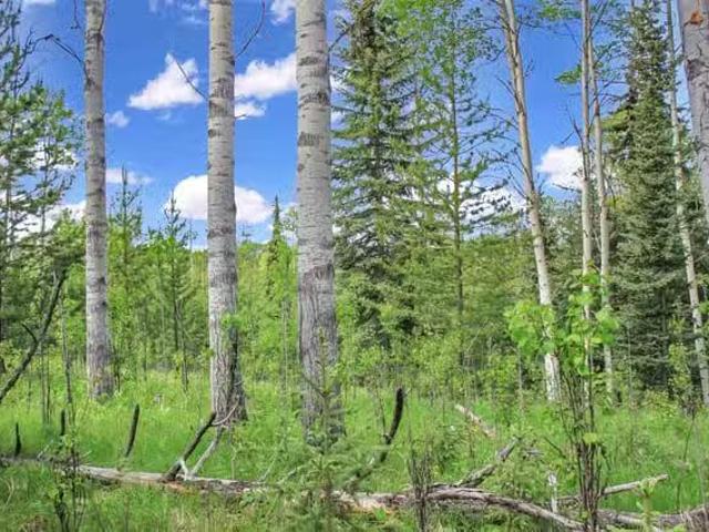 Lot for sale in Bridge Lake, 100 Mile House, PROP Lot 19 Brown.