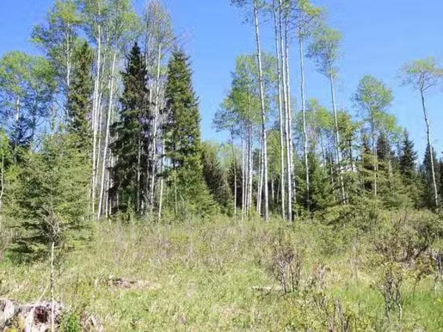 Lot for sale in Bridge Lake, 100 Mile House, PROP Lot 21 Brown.