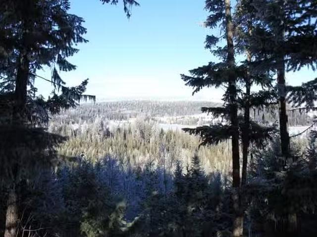 Lot for sale in Bridge Lake, 100 Mile House, PROP Lot 30 Brown.