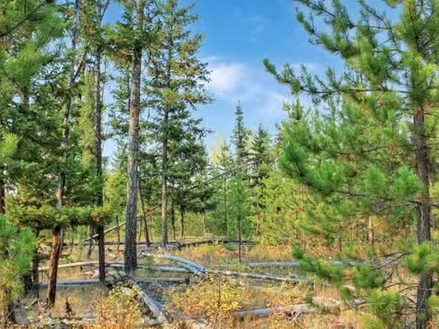 Lot for sale in Bridge Lake, 100 Mile House, PROP Lot 4 Brown.