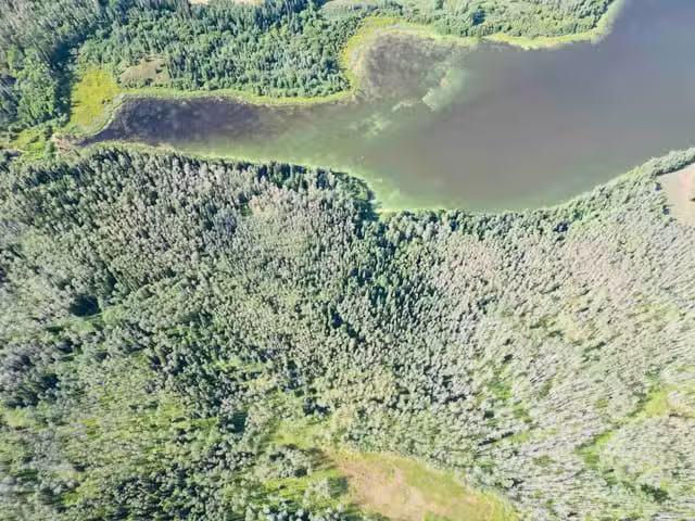 Lot for sale in Burns Lake, Burns Lake, Dl 941 Shaeffer Lake.