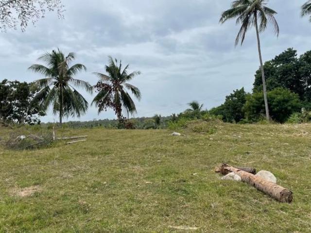 Lot for sale in Dauin