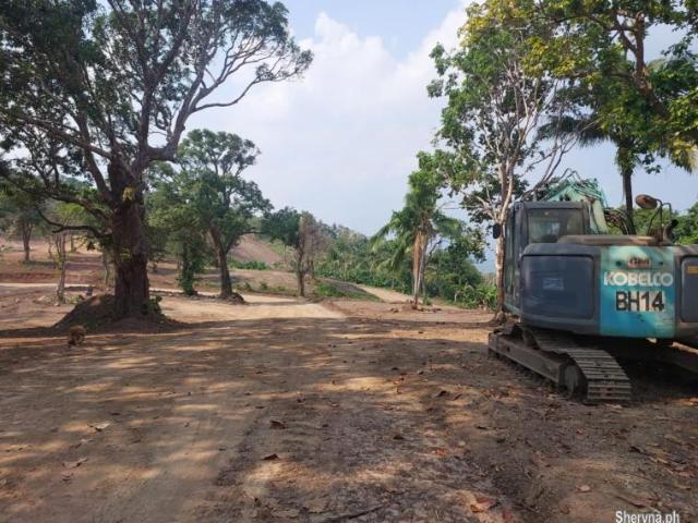 Lot for sale in mabitac Laguna Woodridge