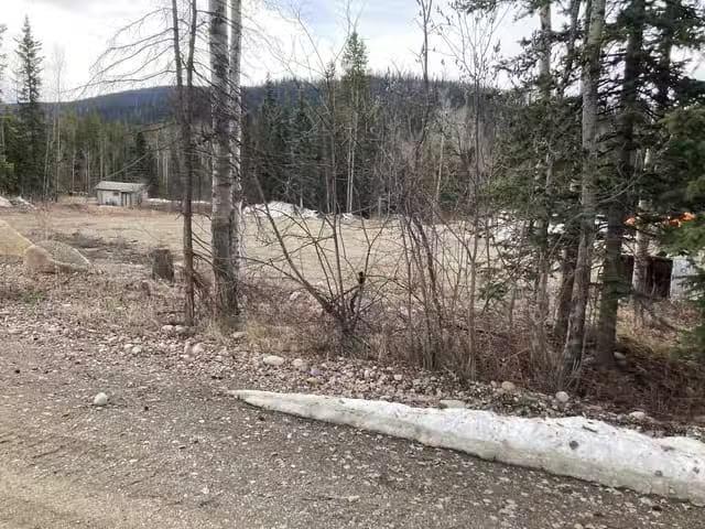 Lot for sale in Mackenzie, Mackenzie, 13063 Omineca Mining Acc.