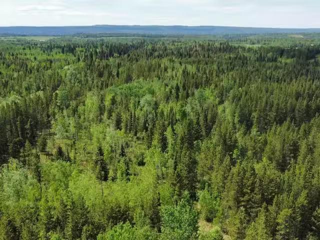 Lot for sale in Prince George, PG Rural South, Dl 1952 Mc Rinn.