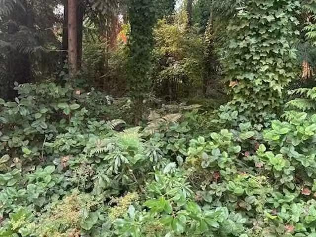 Lot for sale in Qualicum Beach, 156 Harlech Rd, 1037712