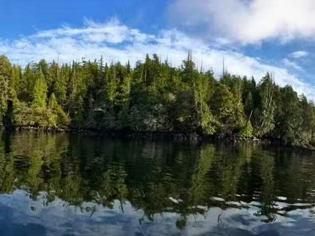 Lot for sale in Tofino, 28 Hot Springs Oceanside Blank, 1039973