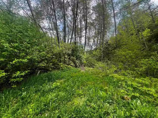 Lot for sale in Terrace, Terrace, Maple Street, 263024557