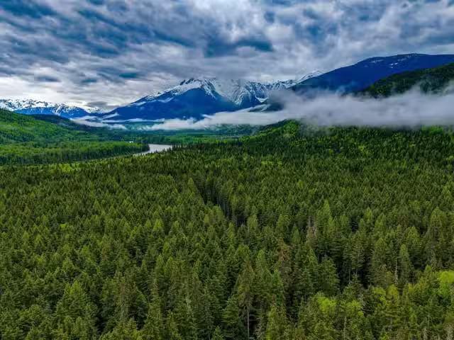Lot for sale in Terrace, Terrace, Dl4772 Skeena River, 263147622