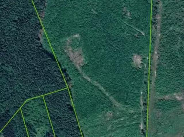 Lot for sale in Terrace, Terrace, Lot a Old Remo Road, 263117743