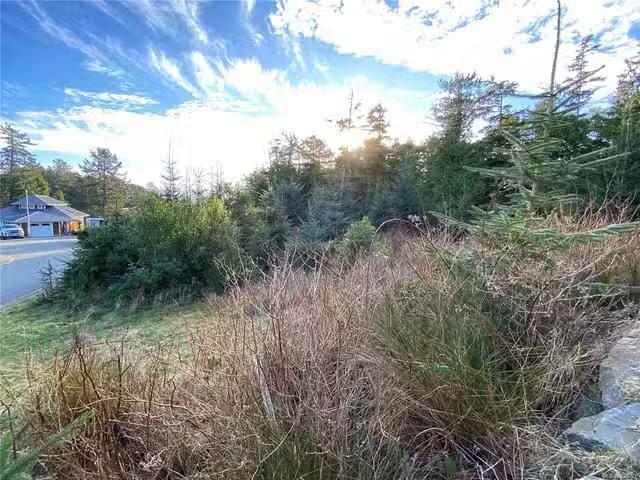 Lot for sale in Ucluelet, 342 Pass of Melfort Pl, 1030701