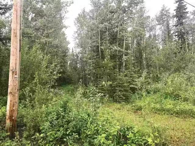 Lot for sale in Vanderhoof, Vanderhoof And Area, 1522 Aspen Dr.