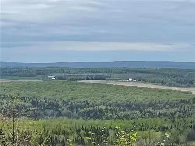 Lot Howland Ridge Rd, Millville, NB, E6E 1Y6 vacant land for.