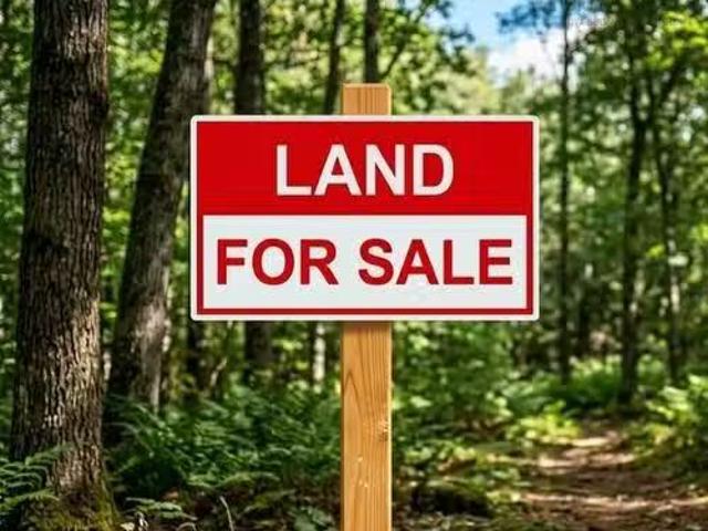 Lot Highway 10, Alpena, NS, B0S 1P0 vacant land for sale Li.
