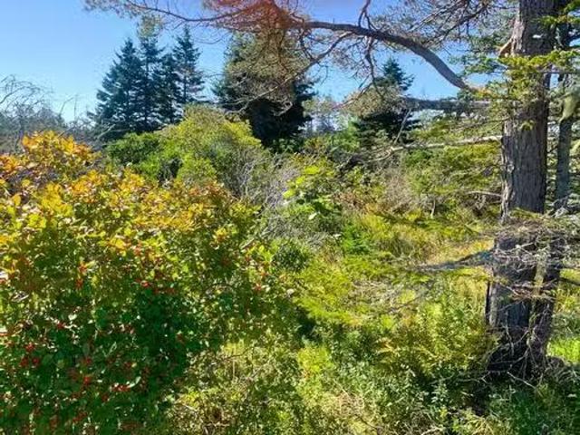 Lot Overton Road, South Chegoggin, NS, B5A 5G8 vacant land f.