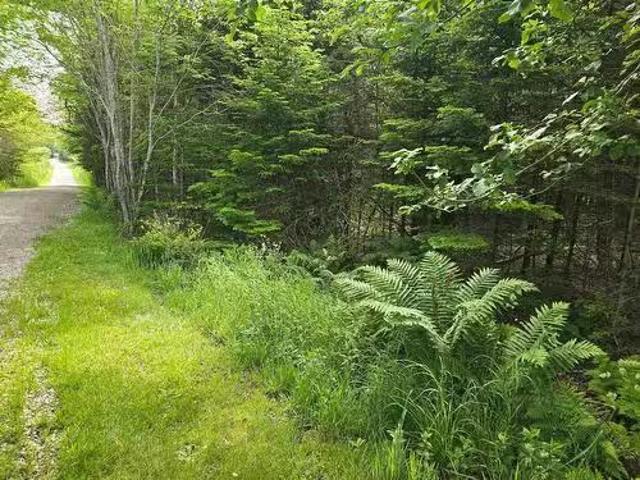 Lot Main Shore Road, North Chegoggin, NS, B5A 5H3 vacant lan.
