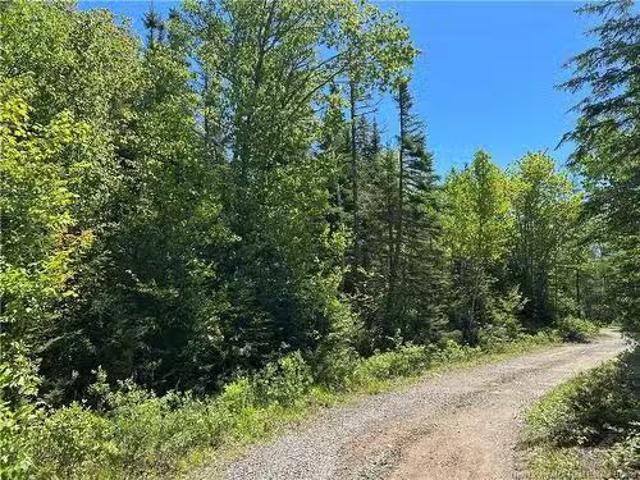 Lot Nelson Lake Rd, Grand Bay Westfield, NB, E5K 4W2 vacant.