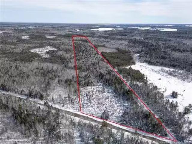 Lot Saint Maurice Rd, Sainte Marie De Kent, NB, E4S 2L2 vaca.