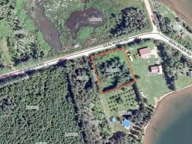 Lot Seal River Road, Cardigan North, PE, C0A 1G0 vacant land.