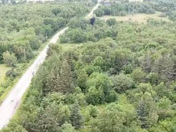 Lot Shore Road E, Hampton, NS, B0S 1L0 vacant land for sale.