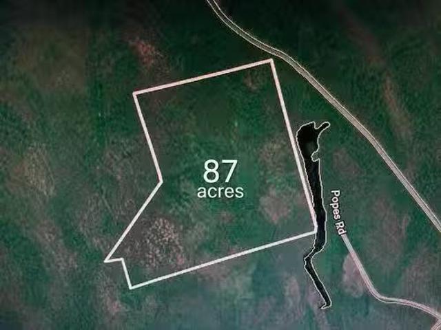 Lot Popes Road, Charlesville, NS, B0W 2E0 vacant land for sa.