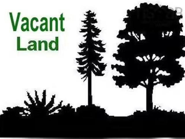 Lot Pid 70100938 Cow Road, Mill Village, NS, B0J 1H0 vacan.