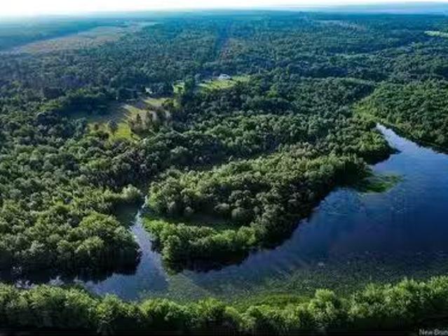 Lot Route 10, Coles Island, NB, O0O 0O0 vacant land for sale.