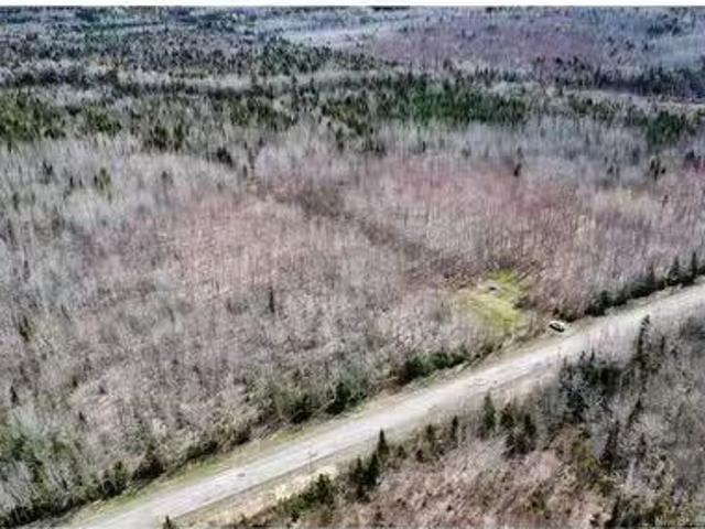 Lot Route 490, Champ Dore, NB, E4T 3H3 vacant land for sale.