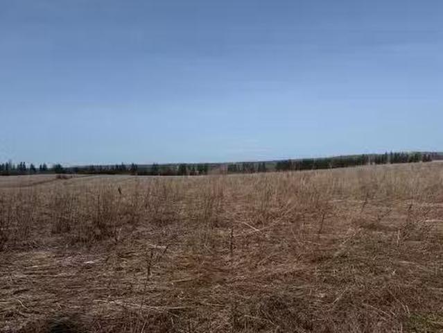 Lot Reid Road, Stanley Bridge, PE, C0A 1E0 vacant land for s.