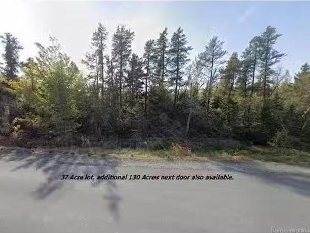 Lot Rte 117 Hardwicke, Hardwicke, NB, E9A 1J9 vacant land fo.