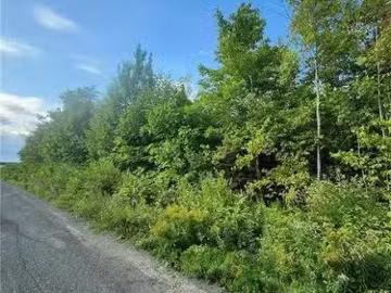 Lot Watson Settlement Rd, Belleville, NB, E7M 5W6 vacant lan.