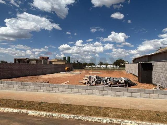 Lote aterrado e murado de 650 m² Boulevard Residence Jardim Botânico tororó
