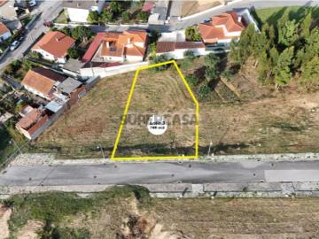 Lote Mainça Coimbra
