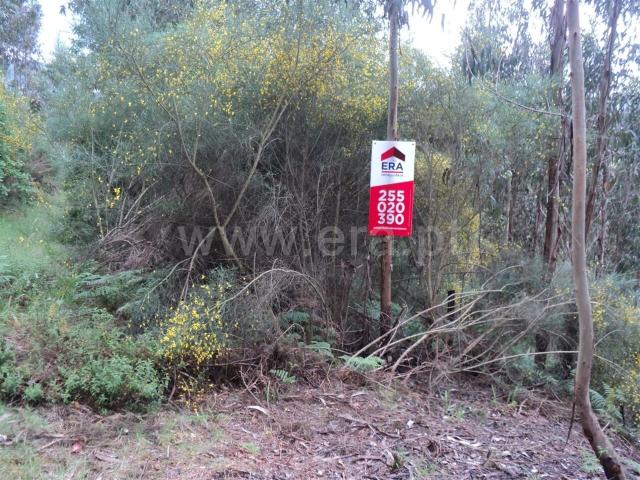 Lote / Marco de Canaveses, Alpendorada, Várzea e Torrão
