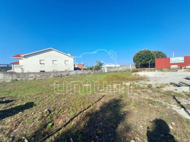LOTE Monserrate, Viana do Castelo