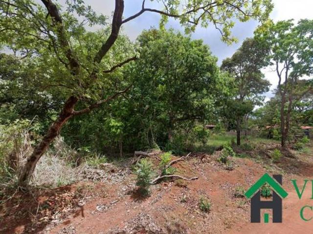 LOTE NA ILHA DO MANGABAL TRÊS MARIAS