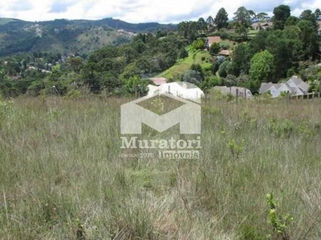 Lote na região Alto do Capivari
