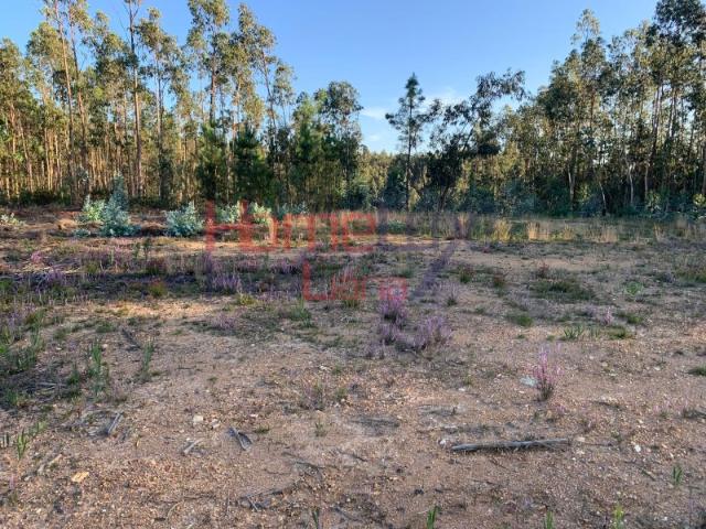 Lote na Urbanização Quinta da Loba