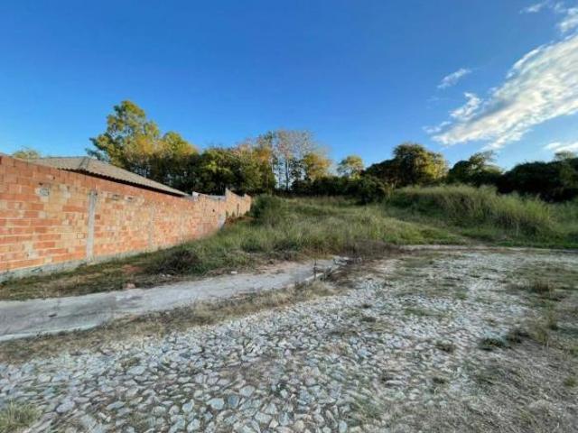 Lote no Itaunense
