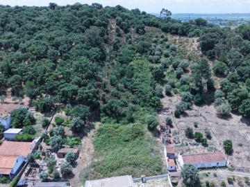 Lote no Pinheiro Grande*RIOMAGIC