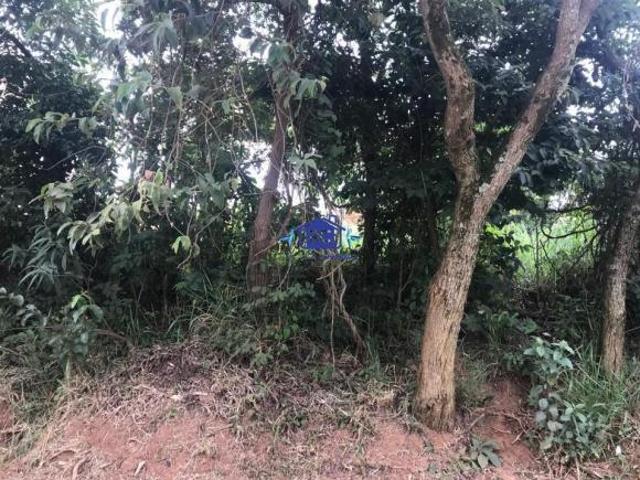 Lote no Sao Dimas