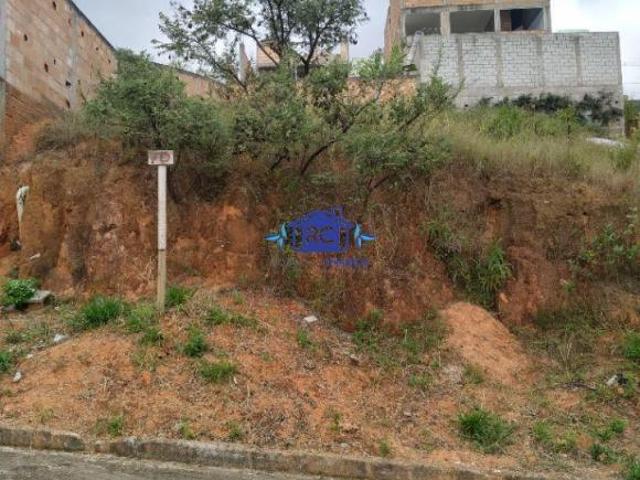 Lote no Santo Agostinho