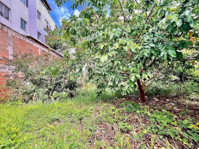 Lote à Venda, 378m² Heliópolis