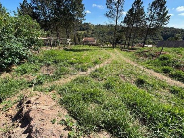 LOTE À VENDA A 14 MIN DO ROTEIRO DO VINHO!
