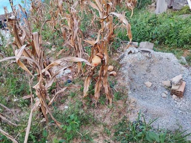 Lote a Venda em Ibirité
