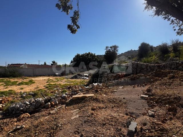 Lote,Aires, Palmela