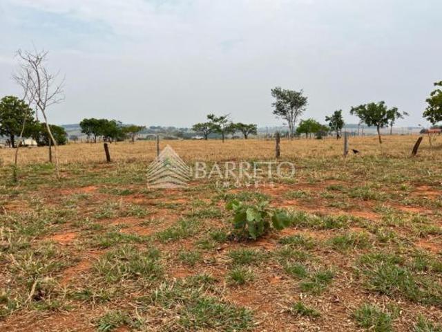Lote Americano do Brasil