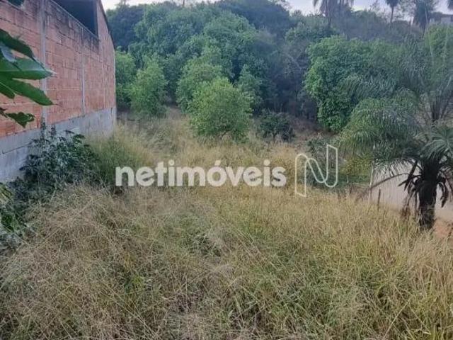 Lote Amplo no Bairro Idulipe com 603,48m² e Posição Solar Privilegiada